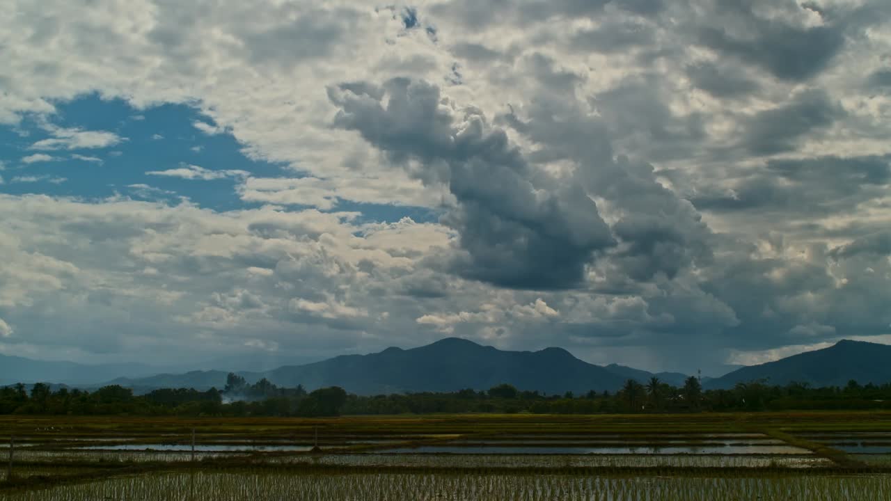 Rice Paddy Fields with Mountains and Clouds