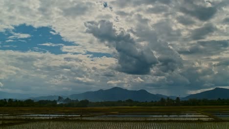 rice paddy fields with mountains and clouds