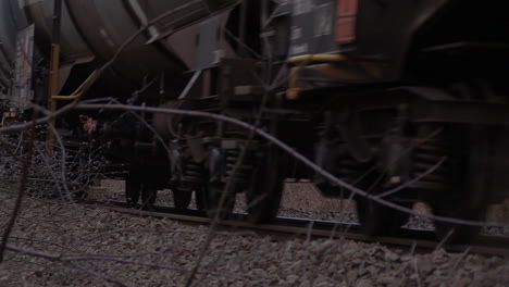 cerrar detrás de pequeñas ramas de árboles de un tren de carga que pasa, ángulo bajo