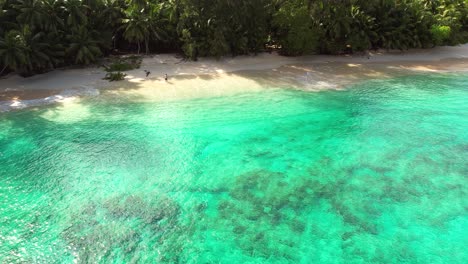 Tourist-couple-walking-on-empty-secluded-beach-on-Mahe-island,-Seychelles,-white-sandy-beach,-coconut-palm-trees-and-turqouise-water-1