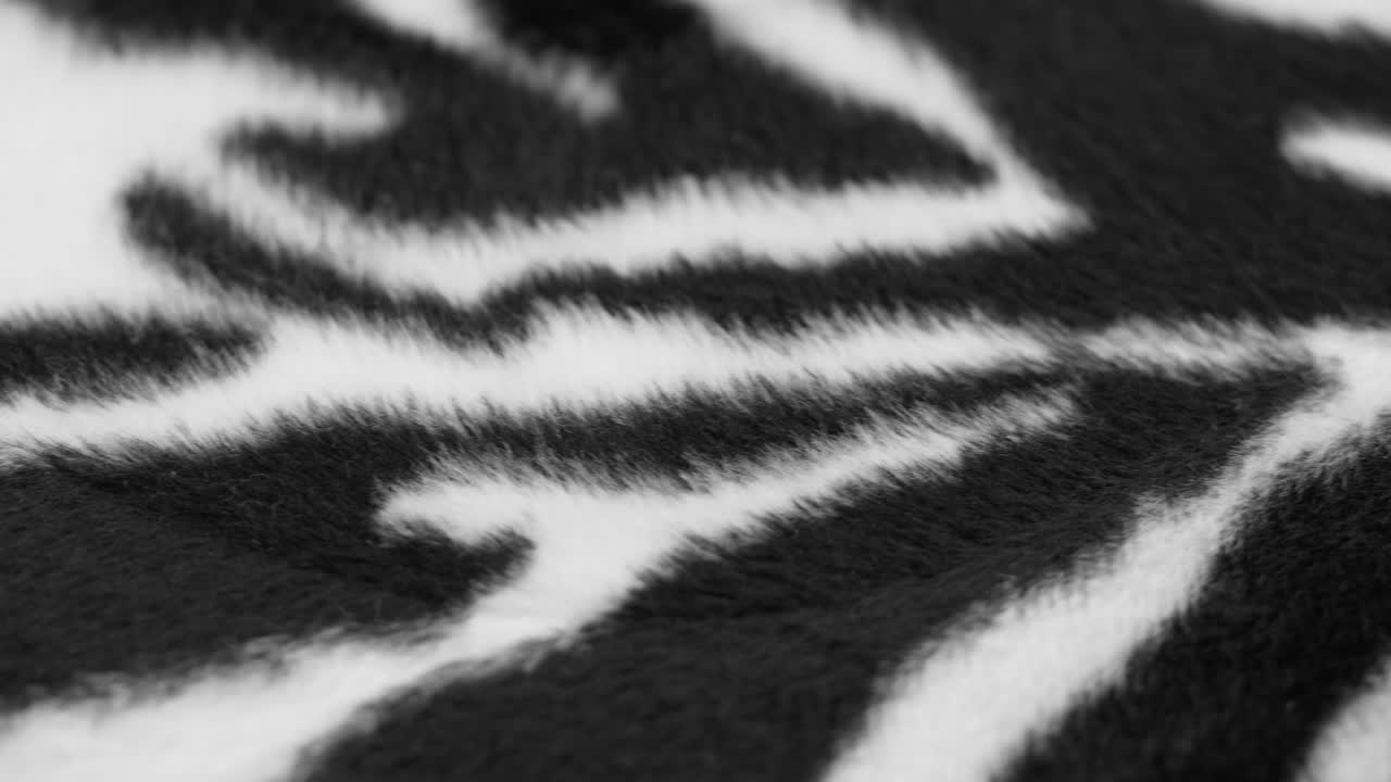 Gros plan sur la texture d'un tissu imprimé zèbre noir et blanc