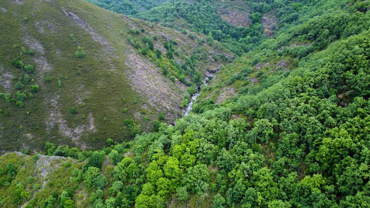 río bibei bibay serpenteando en la base del cañón vegetación verde y exuberante