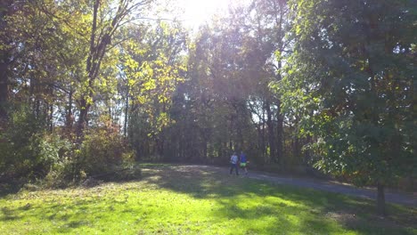 person walking and exercising while another person jogging past on a pathway at a park in the woods