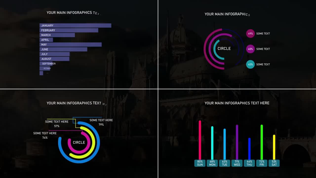 Infographic Data Visualizations