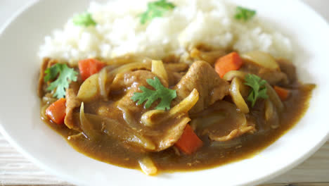 japanese curry rice with sliced pork, carrot and onions