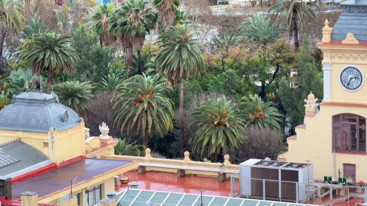 말라가 시청의 지붕, 스페인, 코스타 델 솔, 이국적인 나무