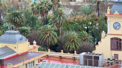 Roof-of-town-hall-of-Malaga-Spain-Costa-del-Sol-exotic-palm-tree