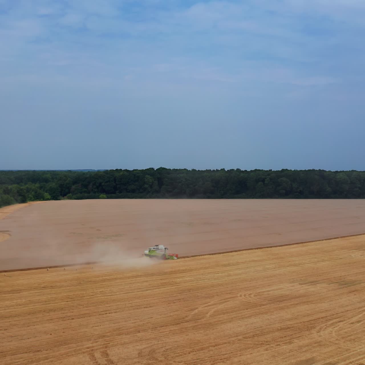 Vast yellow field of ripe wheat contrasting with blue sky. Harvester machine mowing the dry wheat and leaving dusty trail behind. Top view