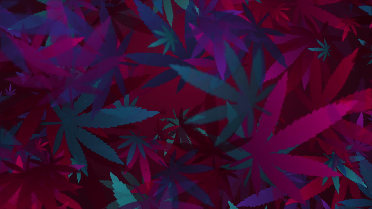 Marijuana and cannabis leaf watercolor loop animation. Abstract purple background.