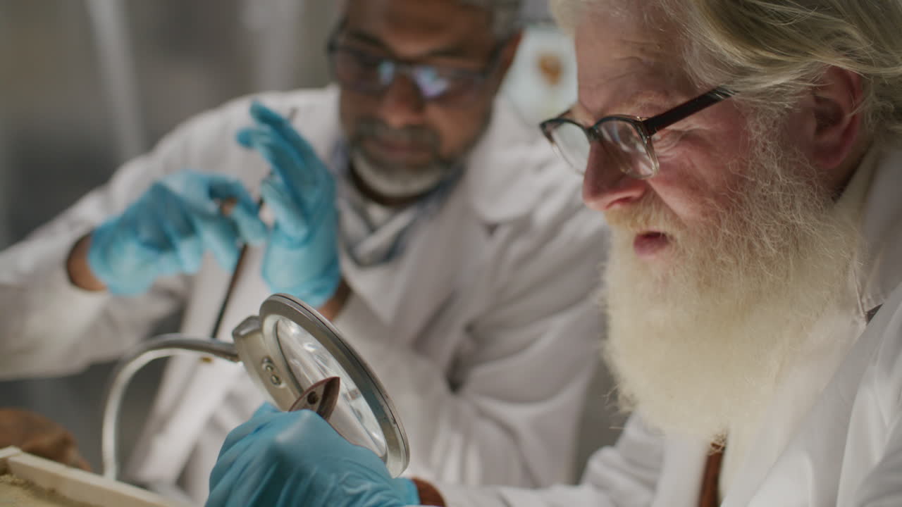Elderly Archaeologist Removing Bones from Sand with Assistance of Colleague