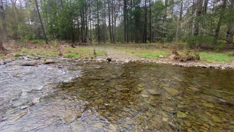 Un-Hermoso-Arroyo-En-Las-Montañas-Catskill-Durante-La-Primavera-En-El-Valle-Hudson-Del-Estado-De-Nueva-York