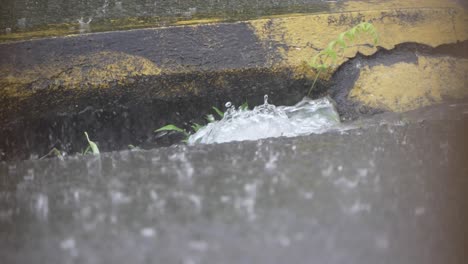 大雨 堵塞下水道