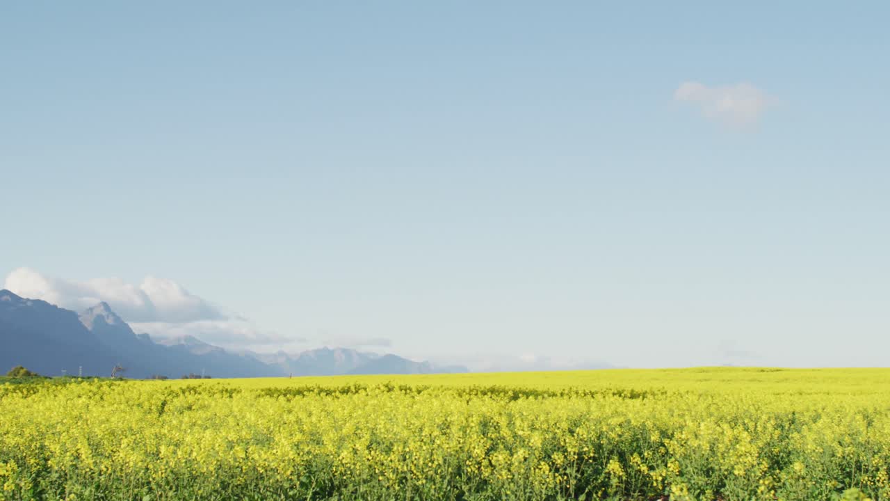 ⁇  과 산 들 이 있는 시골 풍경 의 일반적 인 전망