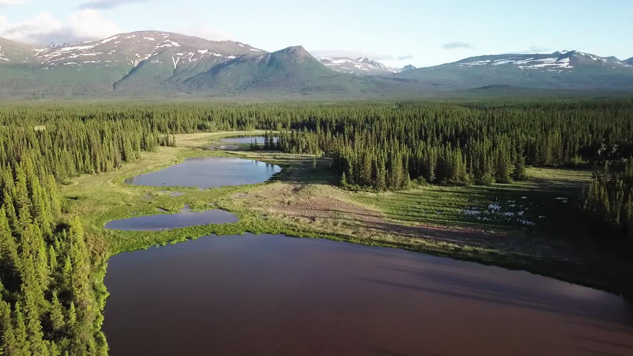 escena épica de paisaje salvaje sobre la vegetación verde de yukon, bosque de árboles siempre verdes, estanques tranquilos y una escarpada cordillera montañosa en el fondo en un día soleado de cielo azul, enfoque aéreo