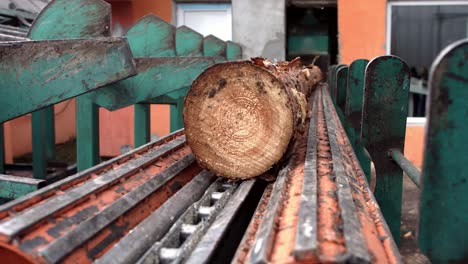 Log-transport-to-saw-line.-Cutting-line-in-saw-mill.-Processing-of-timber