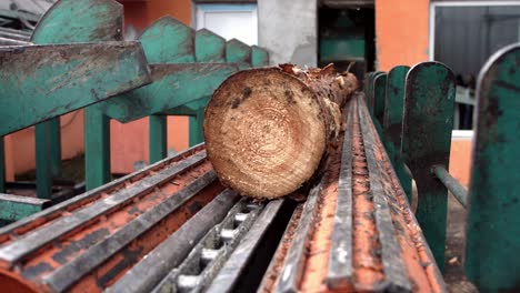 Rundholztransport-Zur-Sägelinie.-Schnittlinie-Im-Sägewerk.-Verarbeitung-Von-Holz