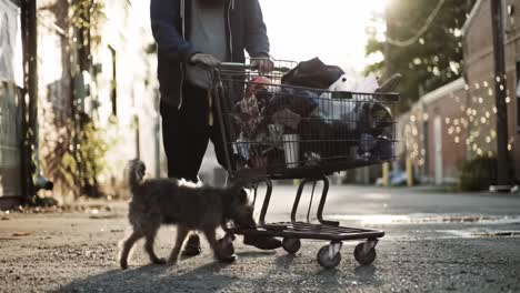 a person pushing a shopping cart filled with items along an alley, accompanied by a small dog in the warm glow of sunset, highlighting urban life and companionship