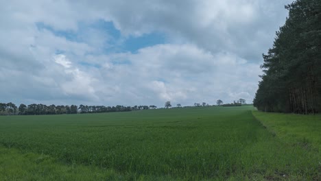 Zeitraffer-Von-Wolken-über-Einem-Grünen-Feld