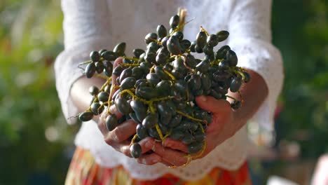 woman holding bunch of local berries in guadeloupe, close up view