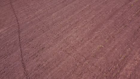 Moose-roe-deer-footprint-traces-in-plowed-field-soil-aerial-view