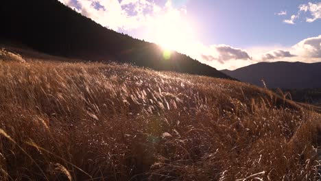 Wide-open-beautiful-Grassland-with-blue-sky-and-silhouette-hills-in-slow-motion