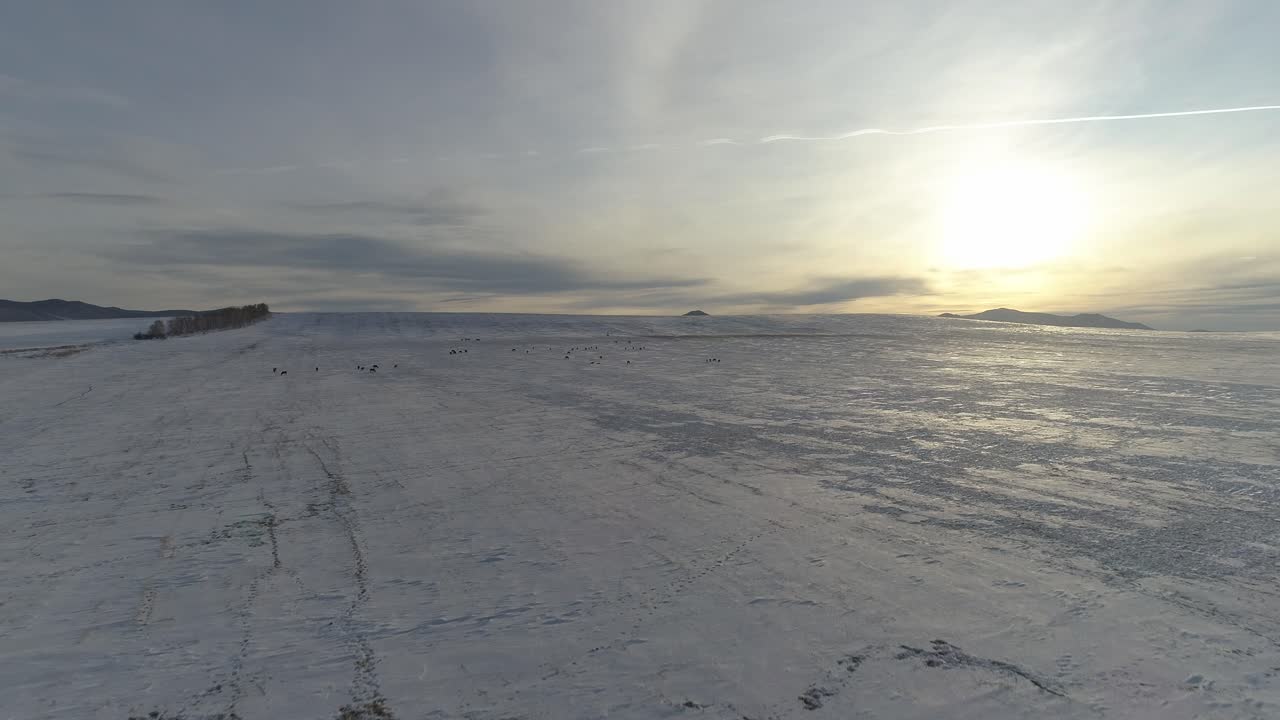 зимний пейзаж