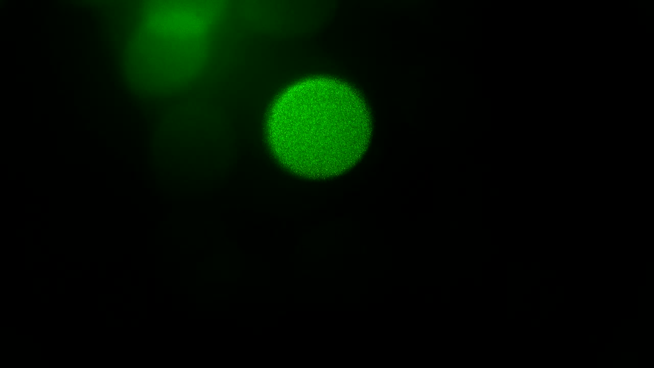 4K abstract light flashes background green