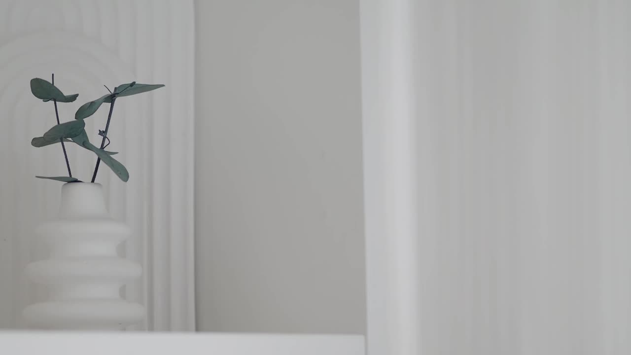 Minimalist Plant in White Vase