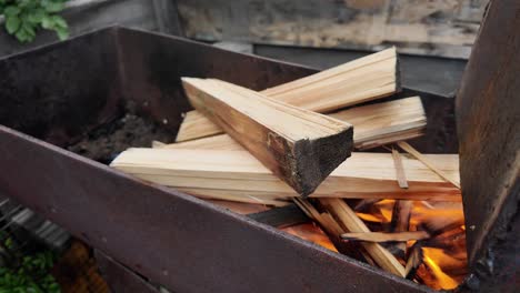 Experience-the-preparation-of-firewood-amidst-the-unique-backdrop-of-Yakutia,-showcasing-the-resilience-of-life-in-Siberia's-extreme-climate