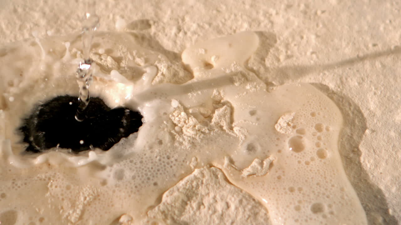 모래 위에 물이 아지는 것