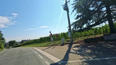 a picturesque journey through cuneo's vineyard landscapes