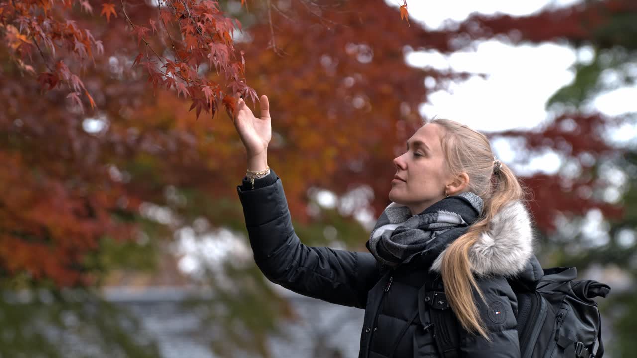 A woman stands peacefully, admiring the brilliant red foliage in the serene gardens of Kanazawa, Japan.