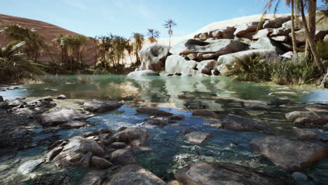 desert oasis lake pond with palm trees