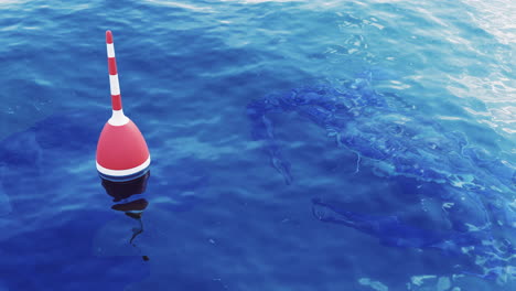 red and white buoy in calm water