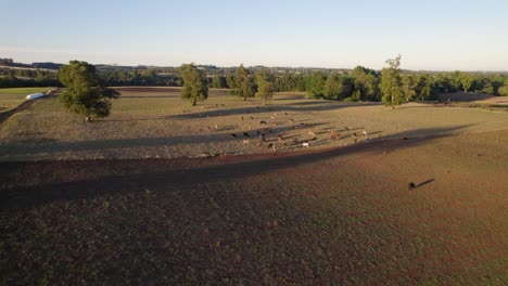 Experience-the-beauty-of-nature's-symphony-at-dusk-in-the-countryside