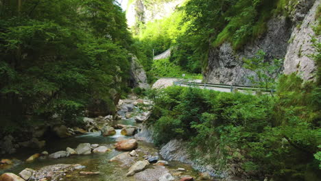 chiaro fiume poco profondo con pietre circondate da rocce e alberi dalla strada del traffico