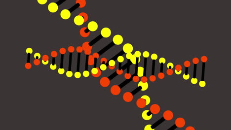 animación de dos iconos de cepas de adn girando en un círculo rosa sobre fondo amarillo