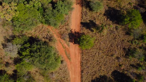 Top-down-aerial-view-of-two-zebras-walking-on-a-rural-road-in-Africa