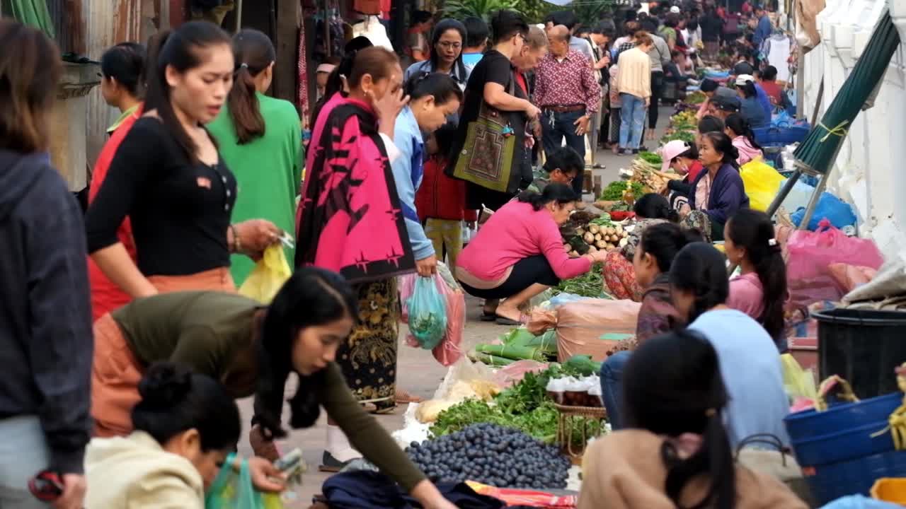 Morning market in Luang Prabang is the market for selling fresh vegetables, fruits, and animals that they caught in the jungle and Mekong river