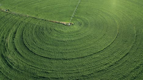 sostenimiento de los cultivos con el sistema de riego en las tierras bajas del valle del río thompson, cerca de cache creek, columbia británica, canadá