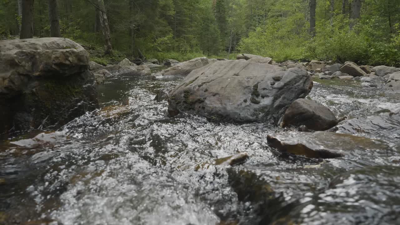 Aliran Hutan dengan Bebatuan