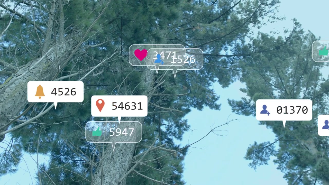 Incoming alerts popping and clustering around two pine trunks, showing rising social engagement