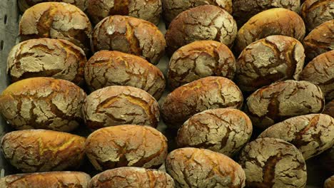 sourdough bread buns being sold in a bakery shop