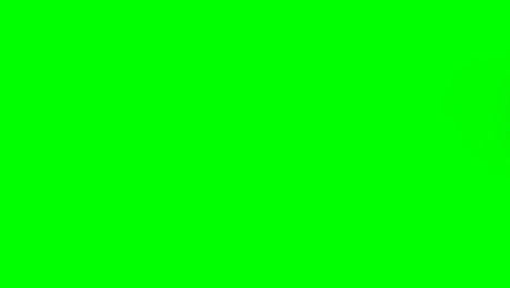 Person-making-hand-gesture-against-green-screen-background