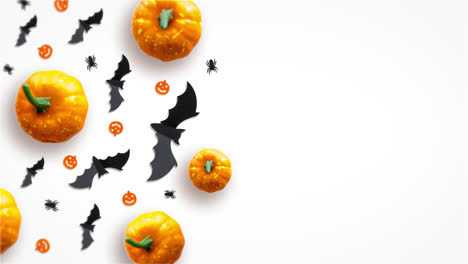 pumpkin-and-bat-loop-motion-graphics-video-on-white-background