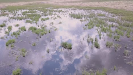 vista aérea de un estanque de pradera poco profundo, con nubes en reflejo