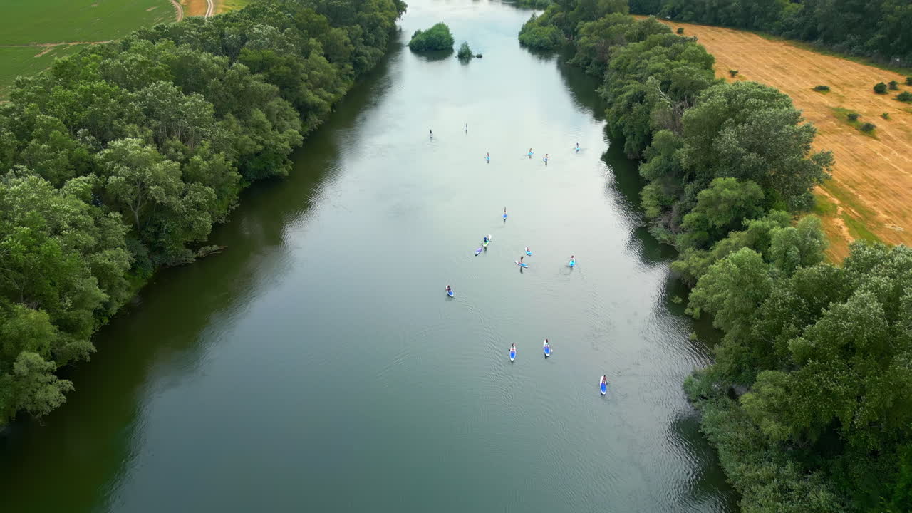 Luftfoto af flere personer, der står op og paddleboarder på Dniester-floden i Moldova. Frodig skov på begge sider af floden.