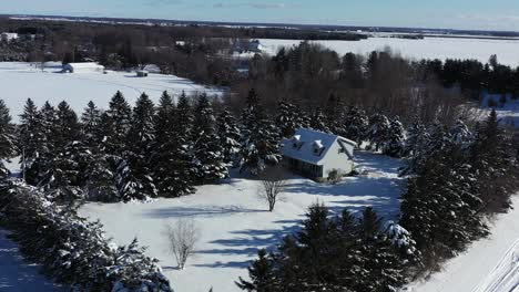 Uriges-Haus,-Versteckt-Hinter-Schneebedeckten-Winterbäumen