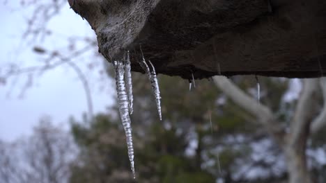 ice-in-a-fountain-in-winter