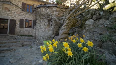 Toma-En-Movimiento-En-Un-Patio-De-Una-Antigua-Casa-De-Campo-Soleada-Con-Flores-Y-Una-Fuente-En-Cámara-Lenta-En-Francia